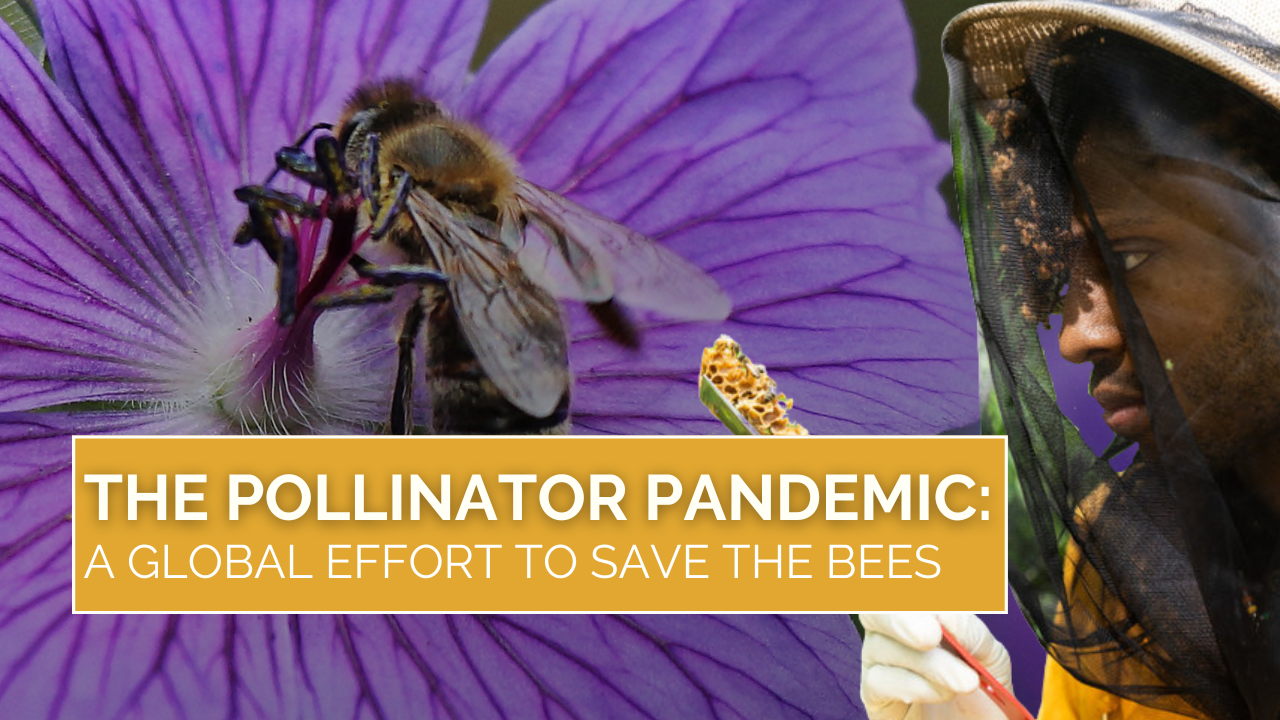 The Pollinator Pandemic
